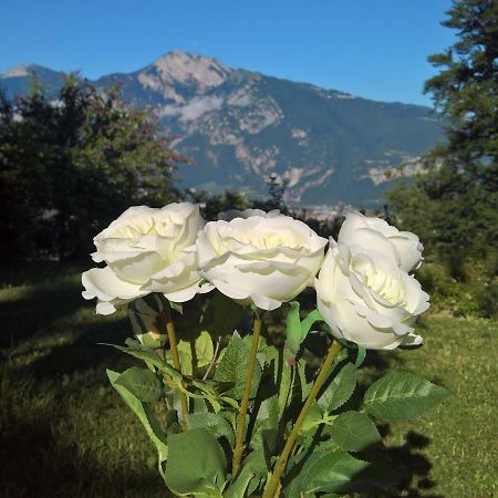 B&B White Rose Civezzano Exterior foto